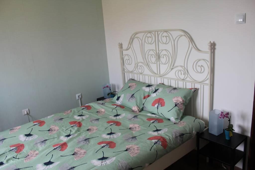 فيلا House With Pool And Garden In Esmoriz Near Porto المظهر الخارجي الصورة