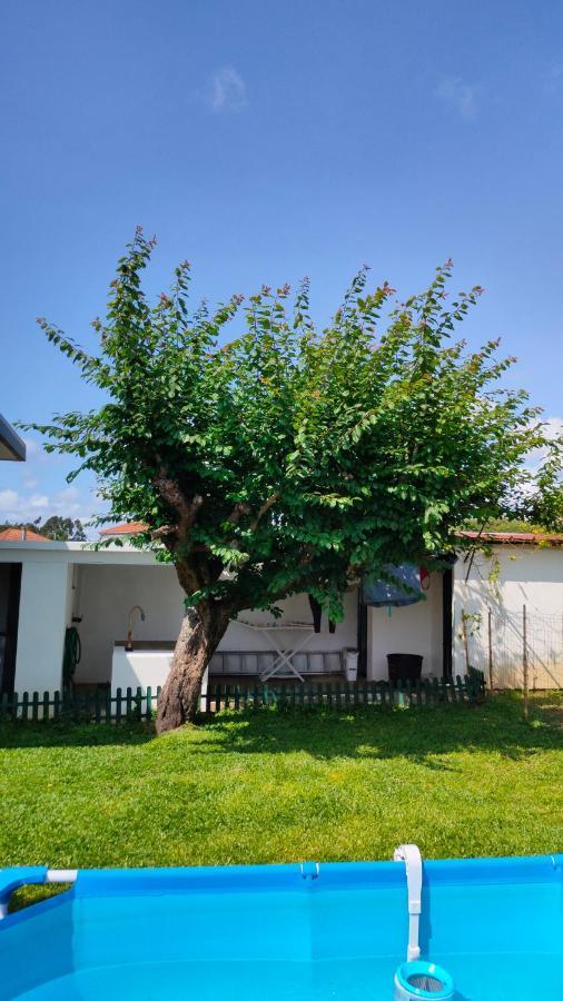 فيلا House With Pool And Garden In Esmoriz Near Porto المظهر الخارجي الصورة
